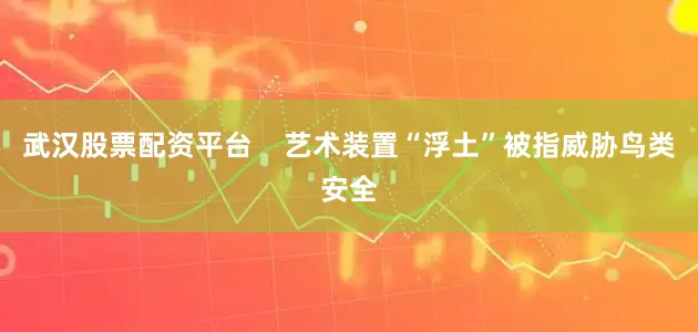 武汉股票配资平台    艺术装置“浮土”被指威胁鸟类安全