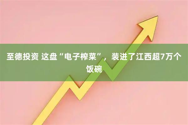 至德投资 这盘“电子榨菜”，装进了江西超7万个饭碗
