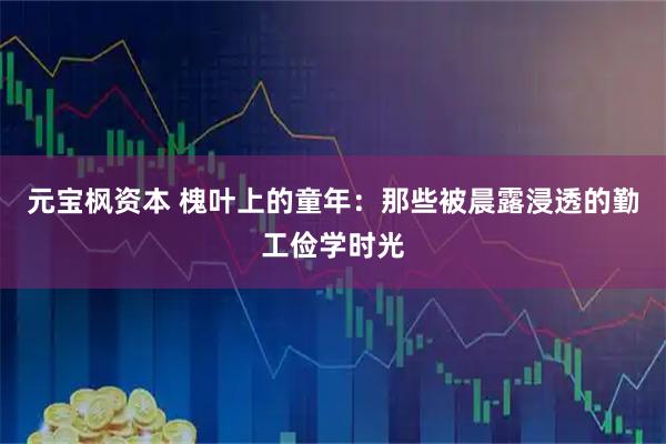 元宝枫资本 槐叶上的童年：那些被晨露浸透的勤工俭学时光