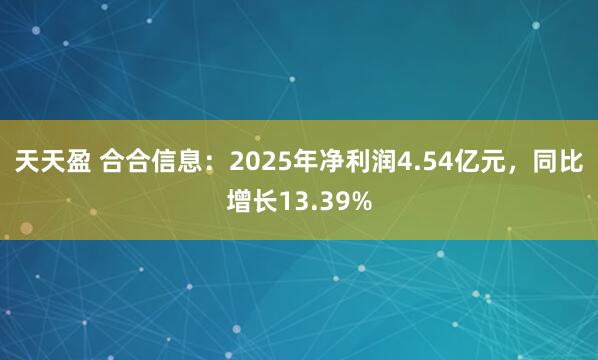 天天盈 合合信息：2025年净利润4.54亿元，同比增长13.39%