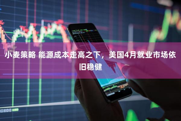 小麦策略 能源成本走高之下，美国4月就业市场依旧稳健
