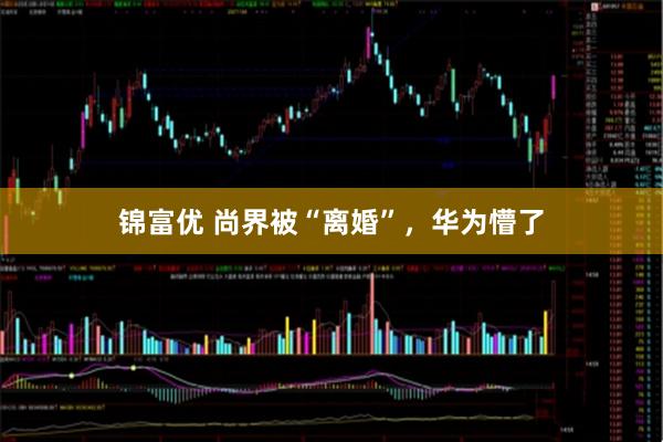 锦富优 尚界被“离婚”，华为懵了