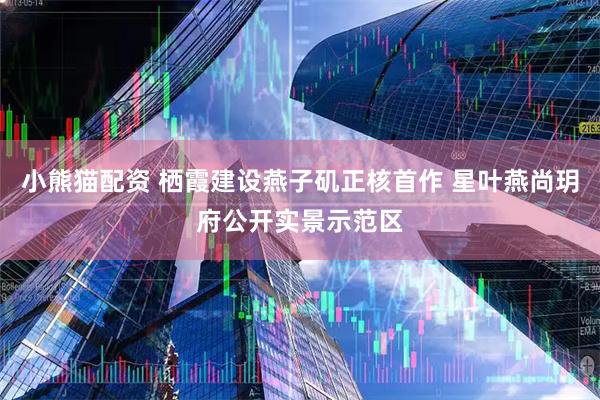 小熊猫配资 栖霞建设燕子矶正核首作 星叶燕尚玥府公开实景示范区