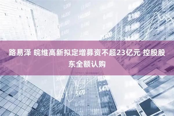 路易泽 皖维高新拟定增募资不超23亿元 控股股东全额认购